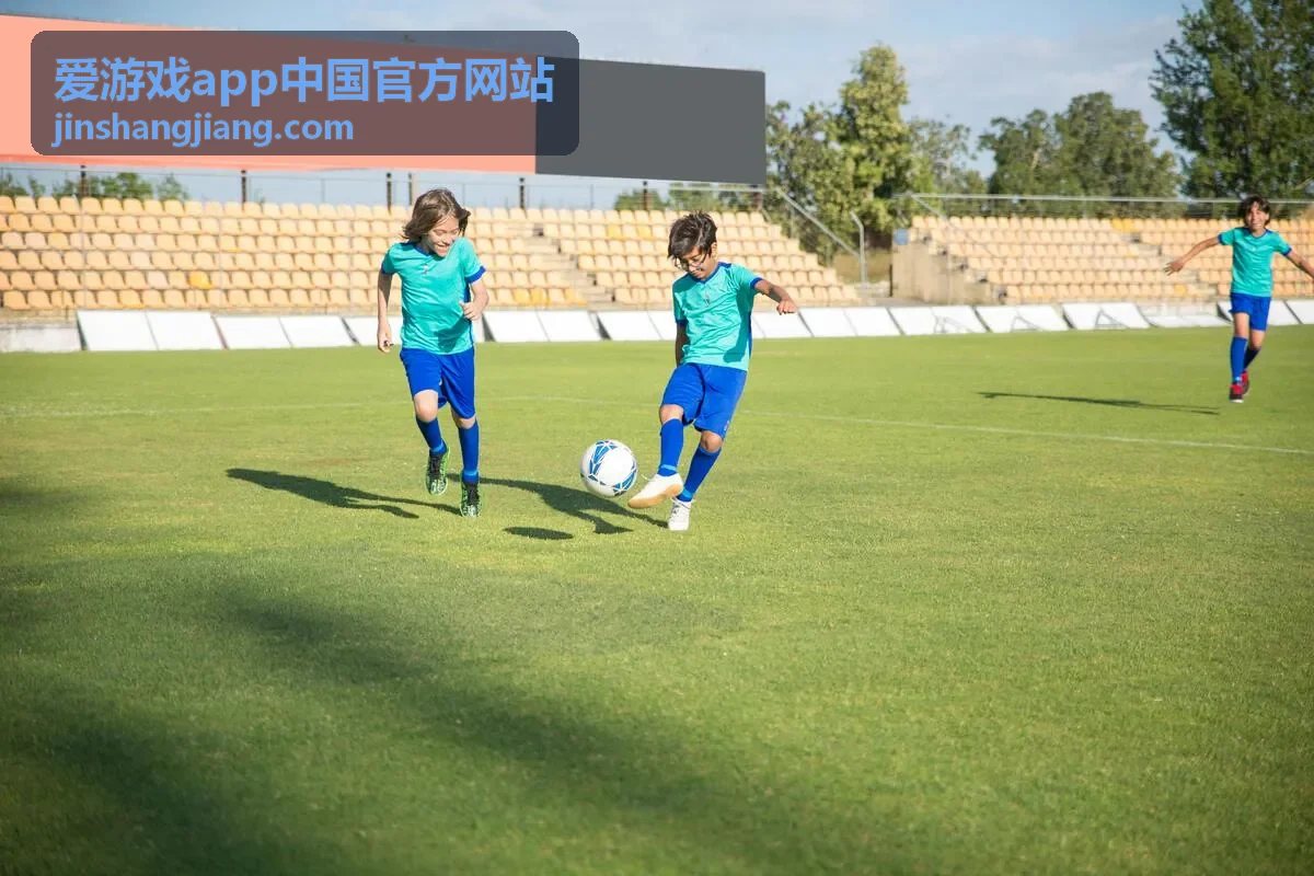 爱游戏app中国官方网站功能面板界面示意