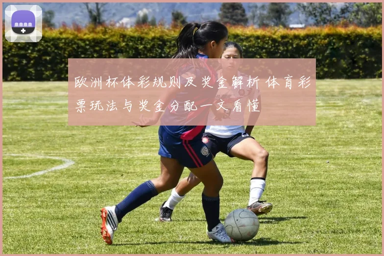 欧洲杯体彩规则及奖金解析 体育彩票玩法与奖金分配一文看懂